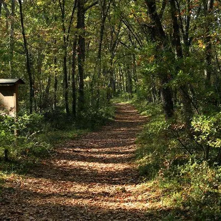 Trulli Del Bosco Bed & Breakfast 4*