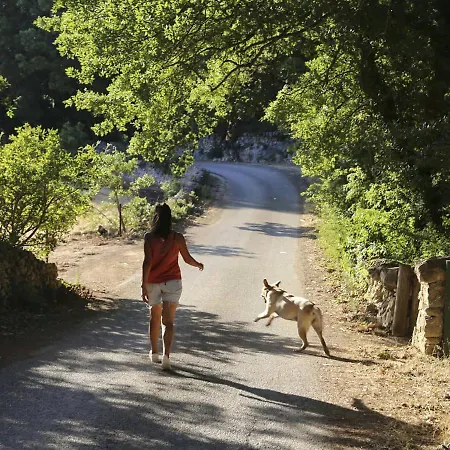 Trulli Del Bosco B&B