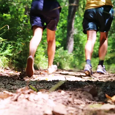 Trulli Del Bosco 4* Alberobello