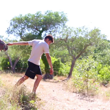 Bed & Breakfast Trulli Del Bosco 4*