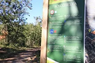 Trulli Del Bosco B&B