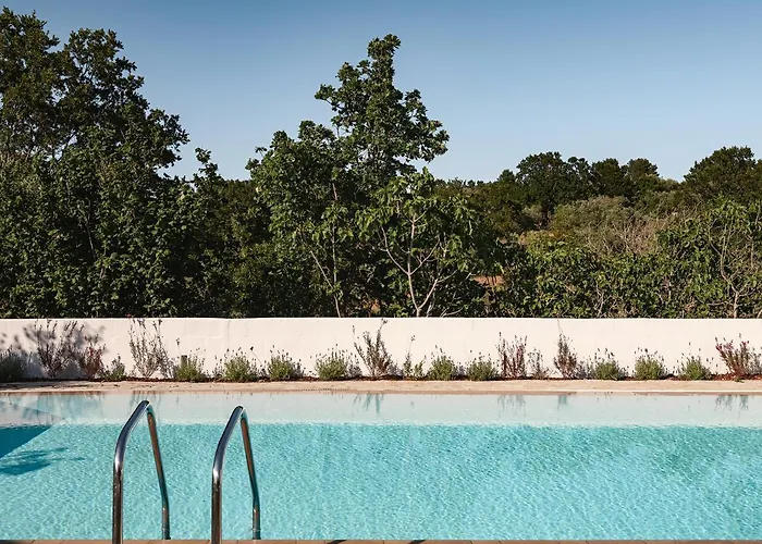 Oda ve Kahvaltı Trulli Del Bosco